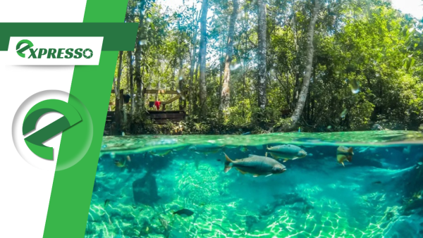 Prefeitura de Nobres implanta novos pontos de observação turística para temporada de verão