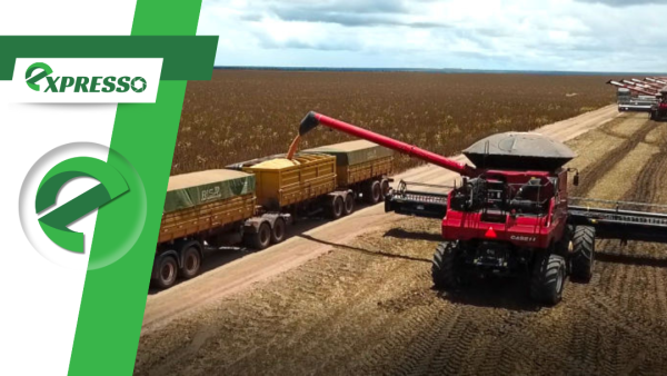 Mato Grosso amplia força logística e fecha 2025 projetando novo salto nas exportações de soja